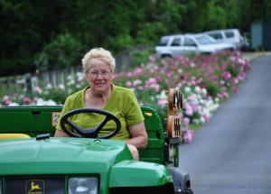 Eleanor Tickner, A Peony Garden