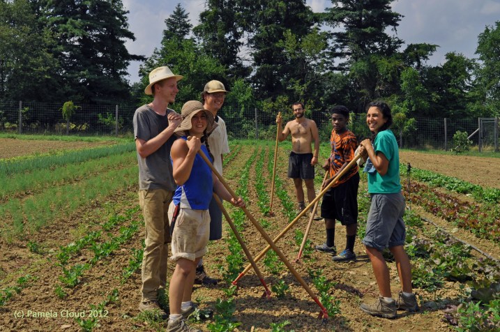 Justin Donaldson, with interns Alicia Bong, Brian Malon, Andrew Puglia, Mike Emmens and Jen Malkoun 