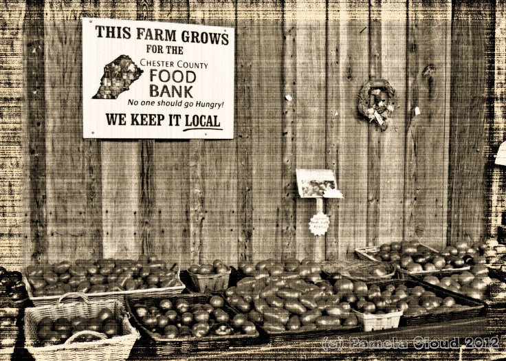 Food bank Sign