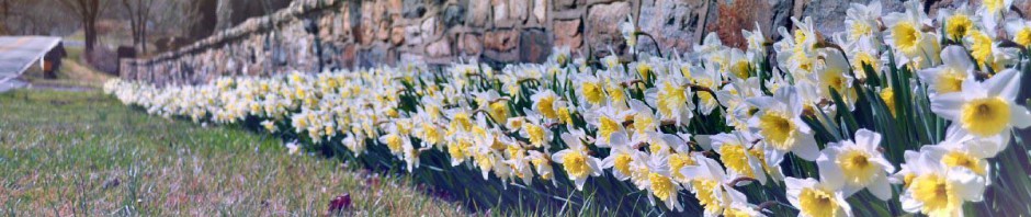 Glen Mills Schools, Thornbury Township, Pa