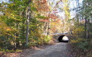 Multi use trail Ridley Creek State Park2