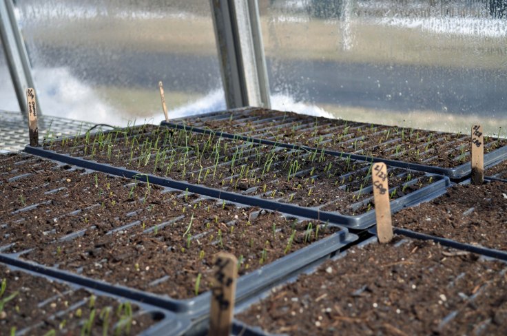 Red Hill Farm Aston, Pa.