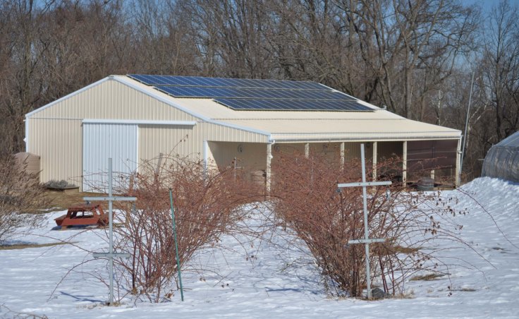 Blackberry Patch located in front of the barn where produces is picked up. Solar panels power the well and other functions of the barn.