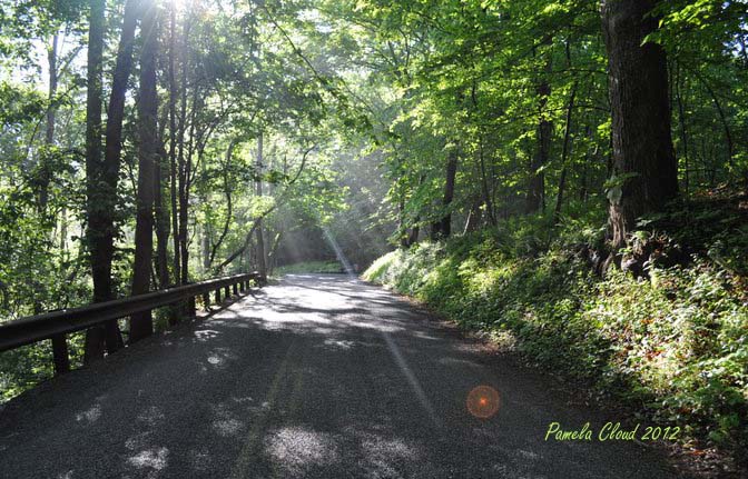 Sunset Hollow Road, West Chester