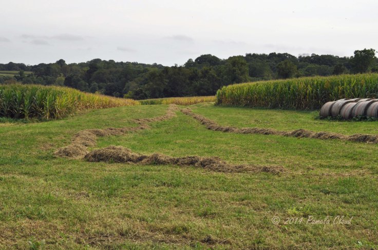 Field at Stroud Preserve