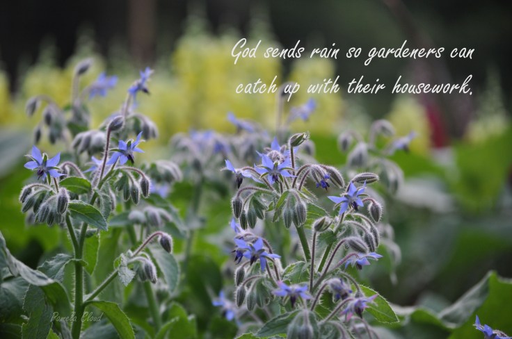 Plant Sales in Delaware and Chester counties