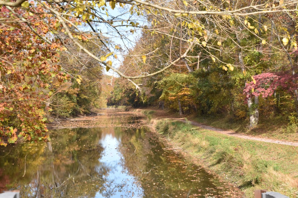 Towpath on the New Hope Canal