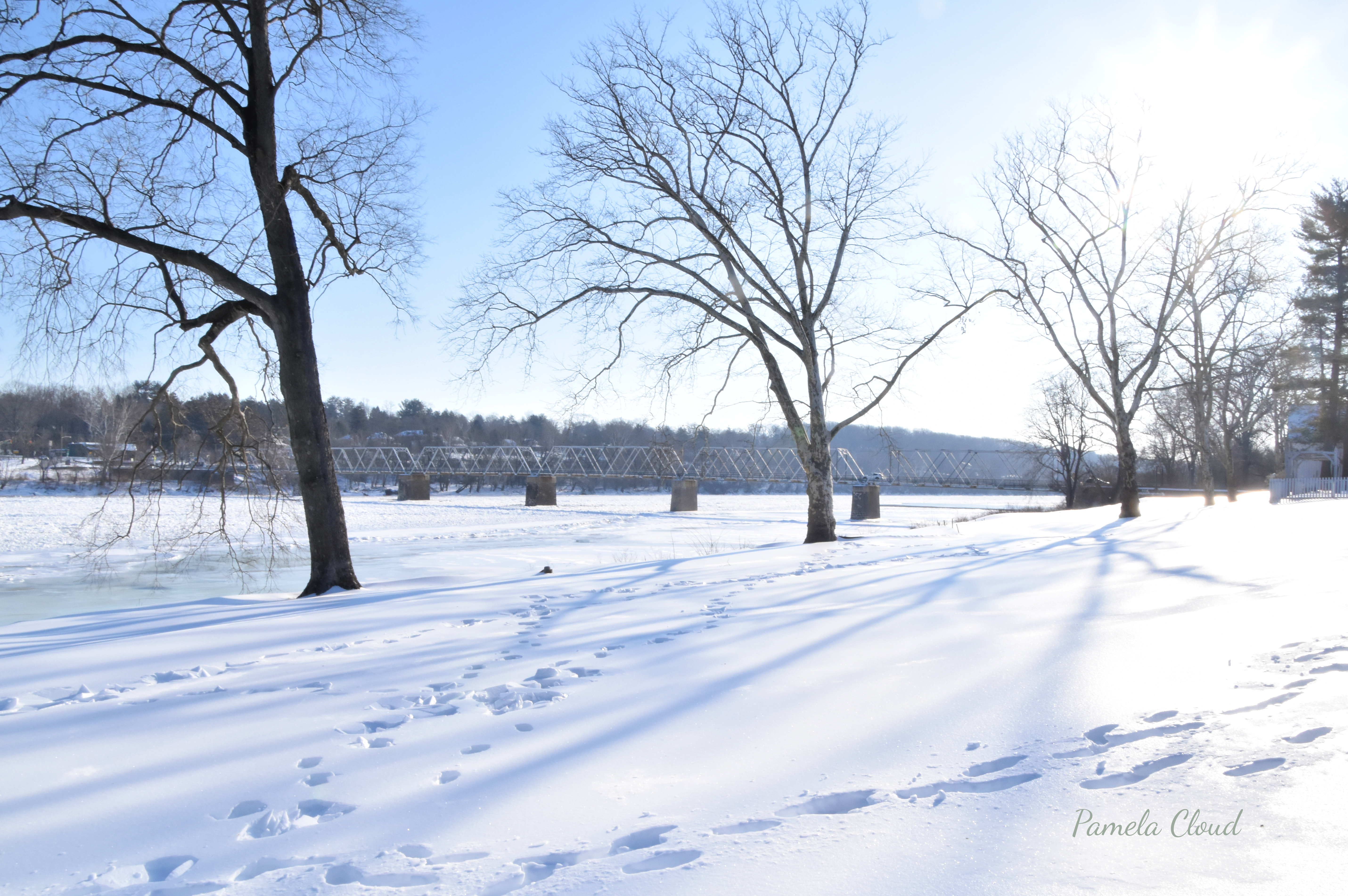 Delaware River Bridge in Snow
