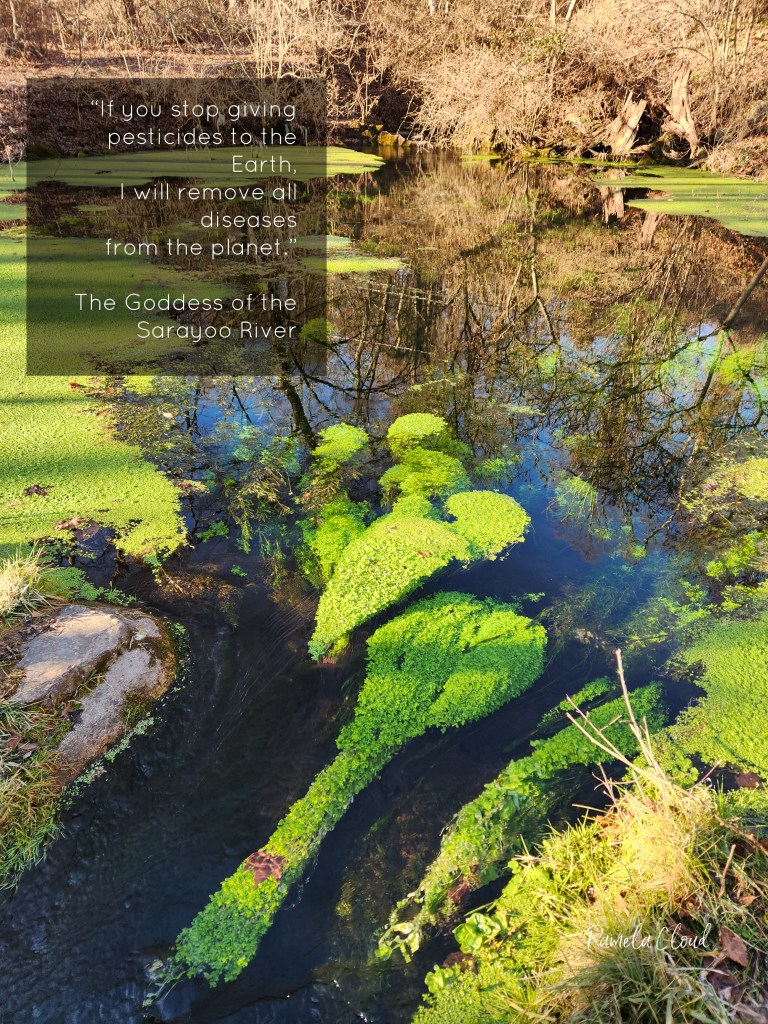 Limestone Spring at Aquetong Park - Pamela Cloud