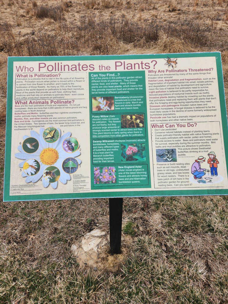 Educational signage for pollinators at Owl's Next Park Pamela Cloud