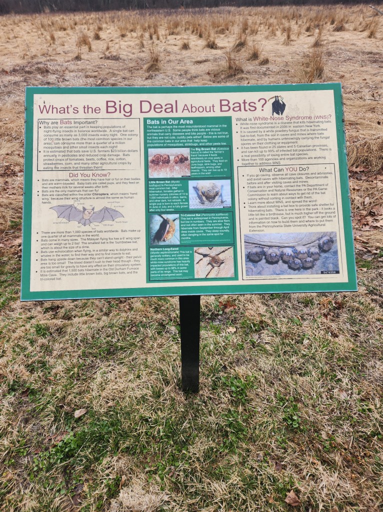 Educational Signage for bats at Owl's Nest Park