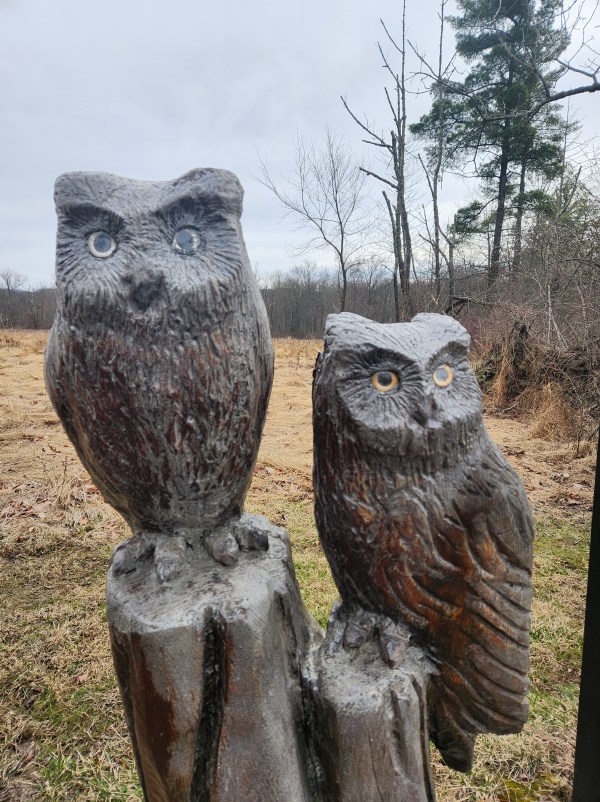 Carved wooden owls at the entrance of Owl's Nest Park in Doylestown, Pa.