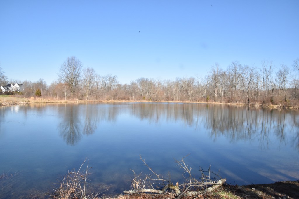 March reflections on the pond at Owl's Nest Park, Doylestown. Pamela Cloud