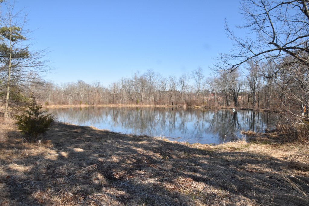 The pond at Owl's Nest Park Pamela Cloud