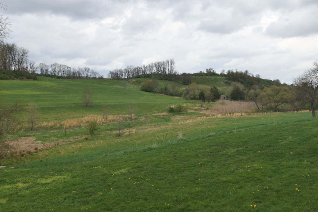 Okehocking Landscape in Edgmont Township