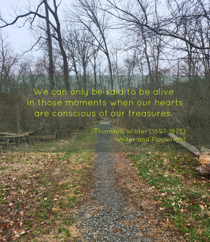 Trail at Owl's Nest Park, Doylestown - Pamela Cloud